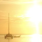 Uprooting: A “How-To” Series