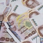 Uprooting: Putting Your Money Where Your Mouth Is