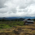 I Survived the Ride to Pai