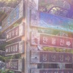 Eight Hours in Korea