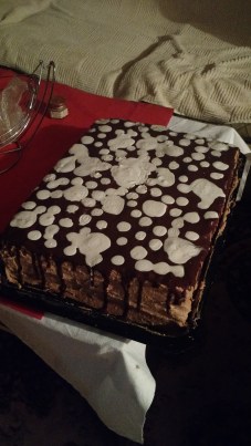 IMG_20160104_174039575