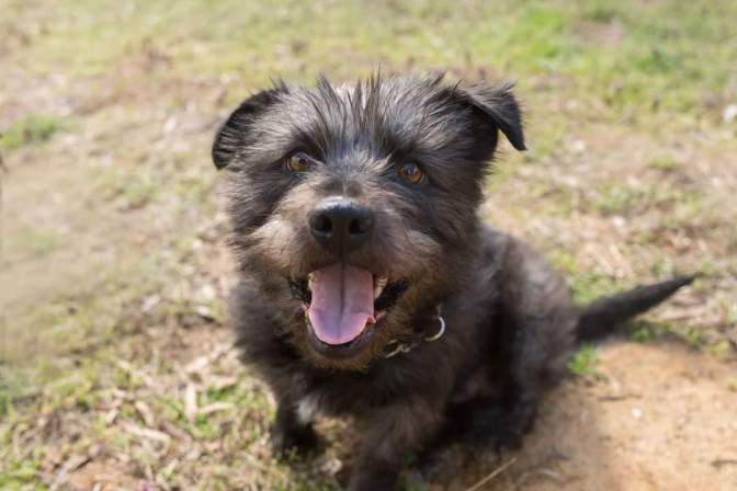 FB_IMG_1492570817698