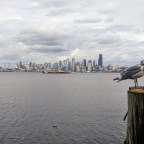 Universal Philosopher of Absolute Reality