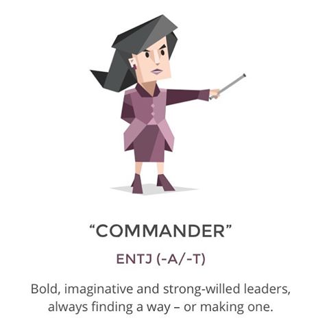 Image result for commander personality